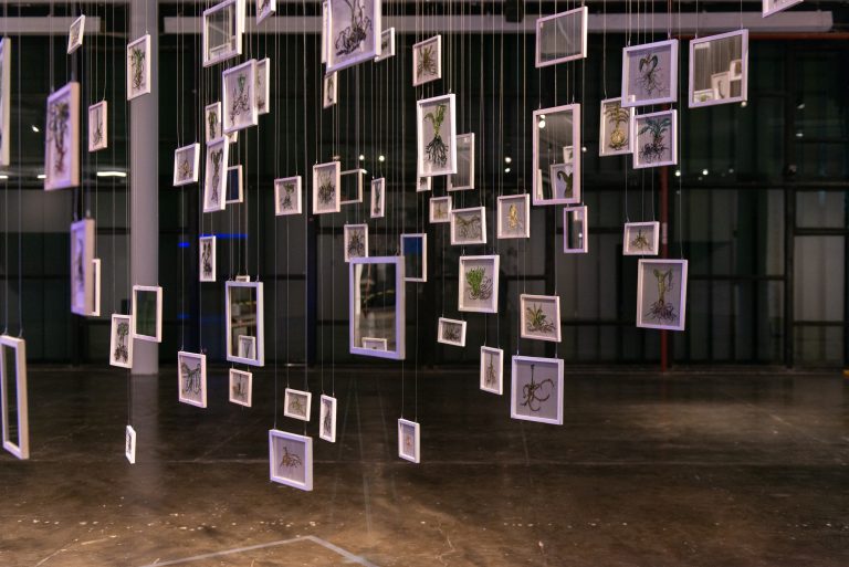 Imagem colorida de obra exposta na 35a Bienal de Arte de São Paulo. Quadros de diversos tamanhos estão suspensos por fios, em diferentes alturas.